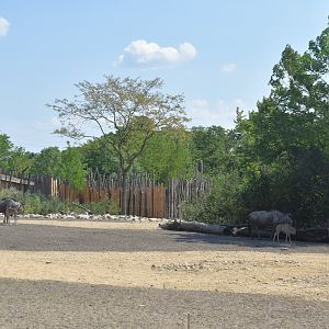 New Savannah Paddock at Tierpark Berlin, 9th June 2023
