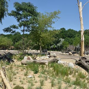 New Savannah Paddock at Tierpark Berlin, 9th June 2023
