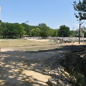 New Giraffe Paddock at Tierpark Berlin, 9th June 2023