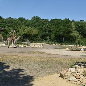 New Giraffe Paddock at Tierpark Berlin, 9th June 2023
