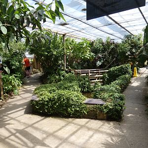 Butterfly house