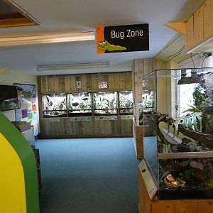 Bug Zone