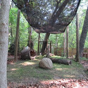 Snowy Owl Exhibit - 6/18/23
