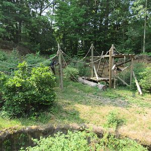 Chimpanzee Exhibit (right side) - 6/18/23