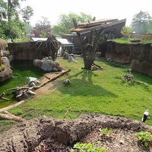 Pygmy Hippo/White Stork Exhibit - 6/18/23
