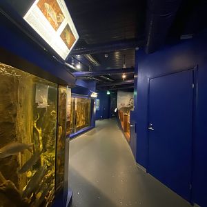 Kotka Maretarium