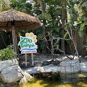 Jun. 2023- Blue-and-yellow macaw and Galapagos giant tortoises