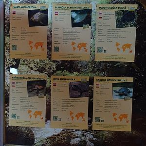 New Asia House; signage for the tank for turtles and fishes (04/23)