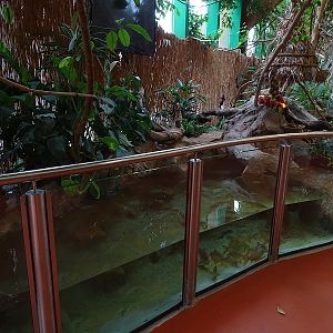 New Asia House; tank for turtles and fishes (04/23)