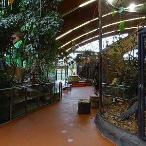 New Asia house; overview (04/23)