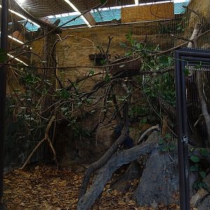 New Asia house; aviary for crowned pigeon and roulroul (04/23)