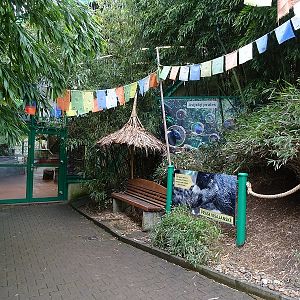 Entrance to the new Asia house (former elephant house) (04/23)