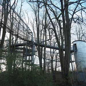 Tree-top walk and canopy adventure route structures, 2022-12-27