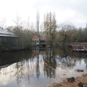 Australian area pond, 2022-12-27