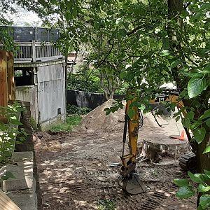 Former and Future Red Panda Exhibit