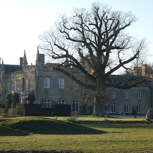 Southern white rhinoceros in front of Bradwell Grove