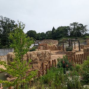 Asian Elephant Exhibit