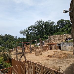 Asian Elephant Exhibit