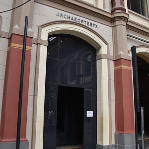Archaeopteryx Room, Museum für Naturkunde, Berlin, 7th June 2023