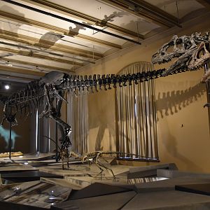 "Dinosaurier!" Exhibition Museum für Naturkunde, Berlin, 7th June 2023