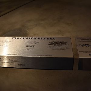 Tyrannosaurus Signage, Museum für Naturkunde, Berlin, 7th June 2023