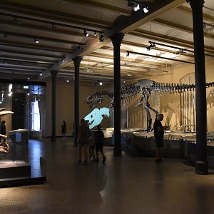 "Dinosaurier!" Exhibition Museum für Naturkunde, Berlin, 7th June 2023