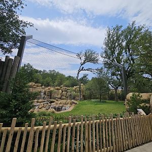 New lion habitat