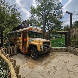 View next to the bus