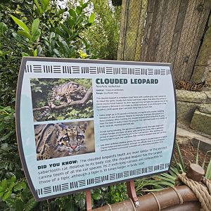 Clouded leopard sign