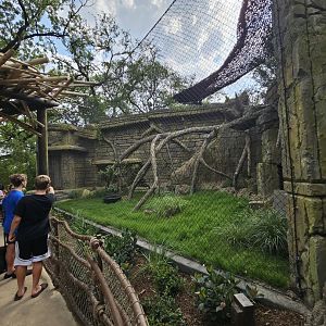 Clouded leopard habitat
