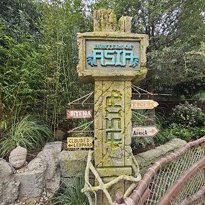 Right this way, says the sign