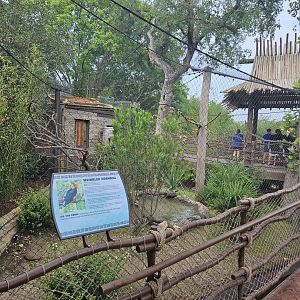 Wrinkled hornbill aviary