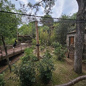 Hornbill aviary other side