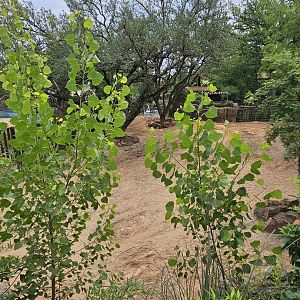 Other side of rhino yard 1