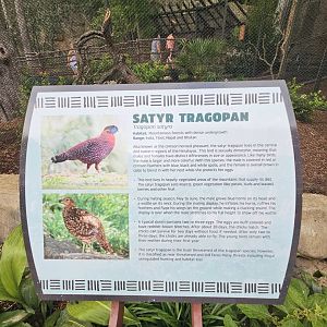 New birds get new sign