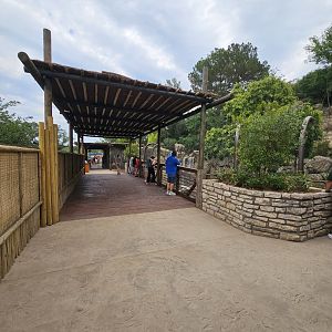 Into the shade and mist