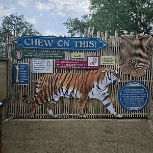 Tiger facts