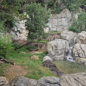 Striped hyena habitat