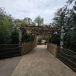 From one continent to another