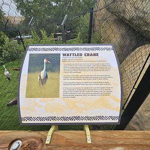 Wattled crane sign
