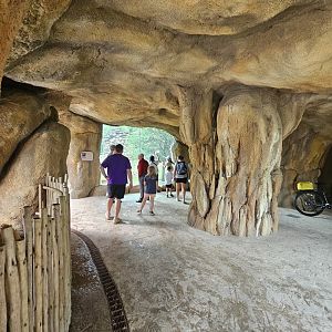 Dog side of the cave