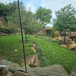 Cheetah view 2, the cave