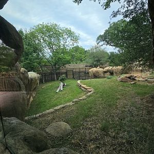 View from cave again