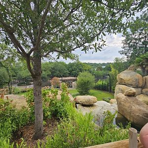 Also the lion overlook