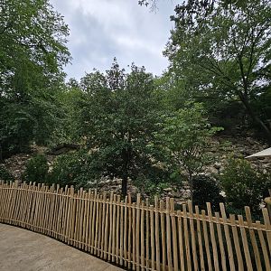 The old ibex habitat