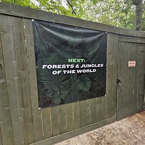 And the next project is...