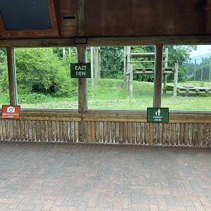 Banham tiger enclosure photography / family signage in viewing window