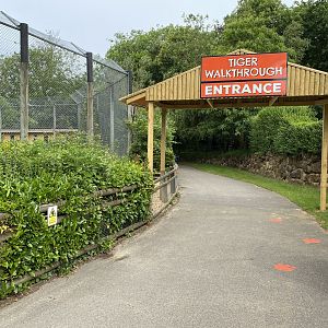 Banham tiger route, updated entry