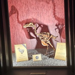 Bird house, exhibition in old dark corridor area