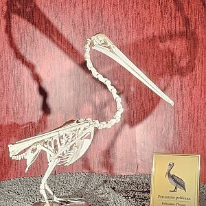 Bird house, exhibition in old dark corridor area